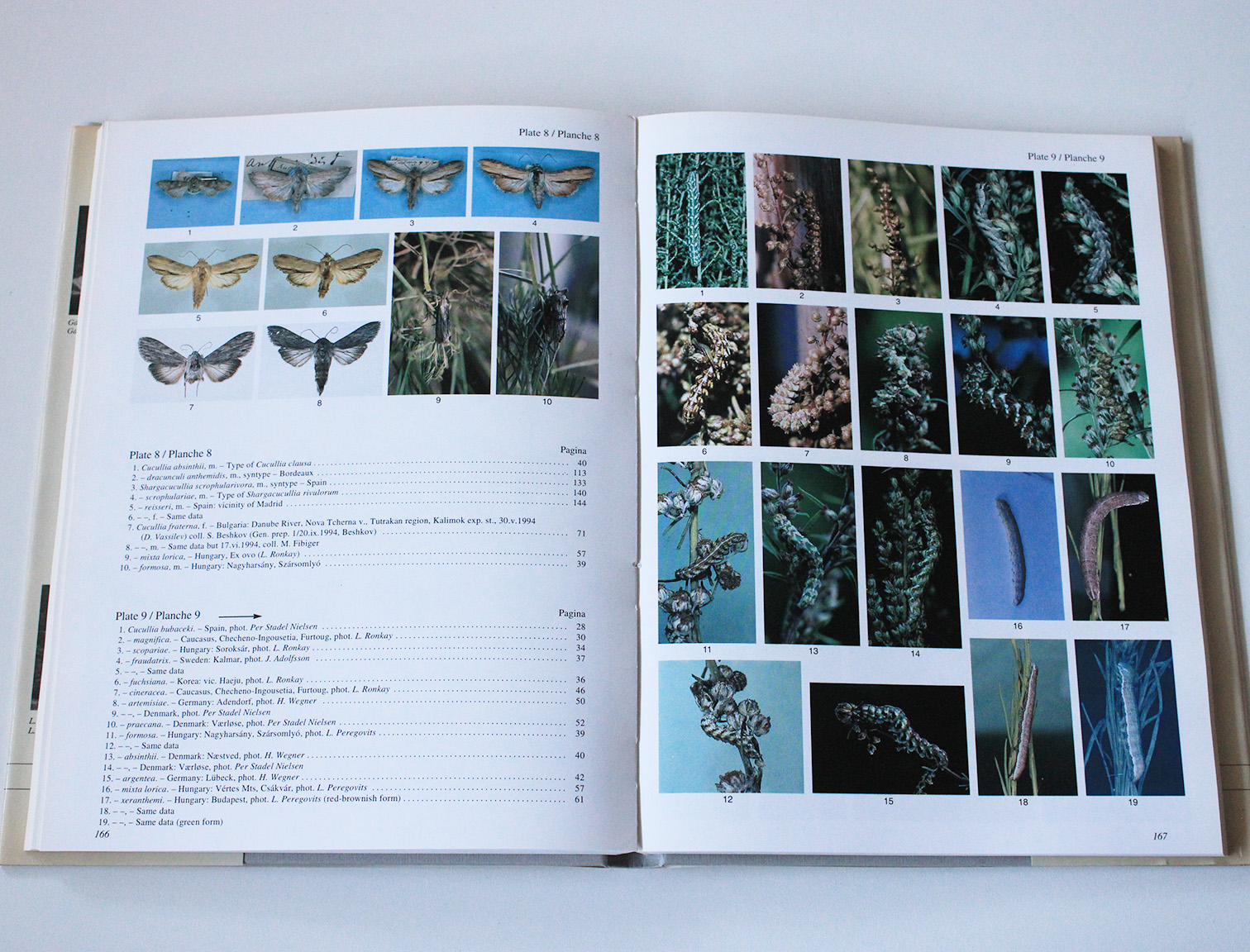 noctuidae europaeae vol.6,1